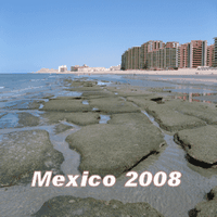 Mexico 2008